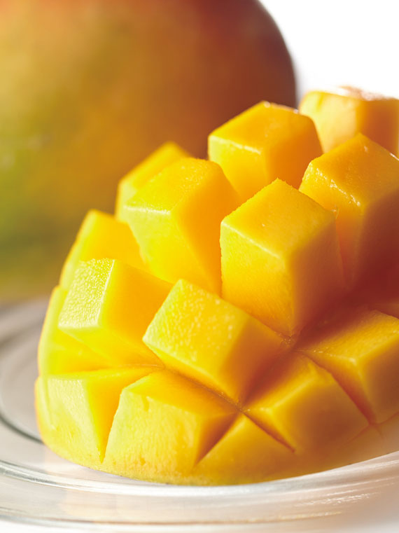 千趣会  Graphic Design